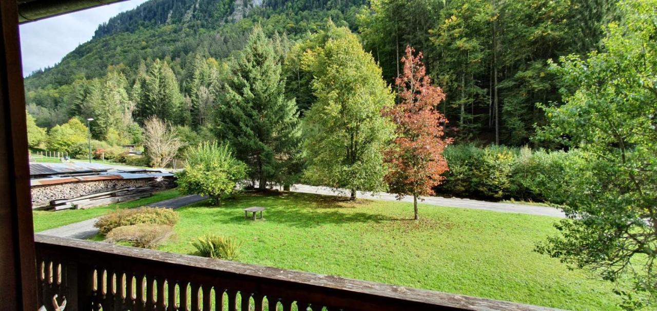 Appartement-3-Chambres-8-Couchages-Wifi-Montriond-Chebourins Εξωτερικό φωτογραφία