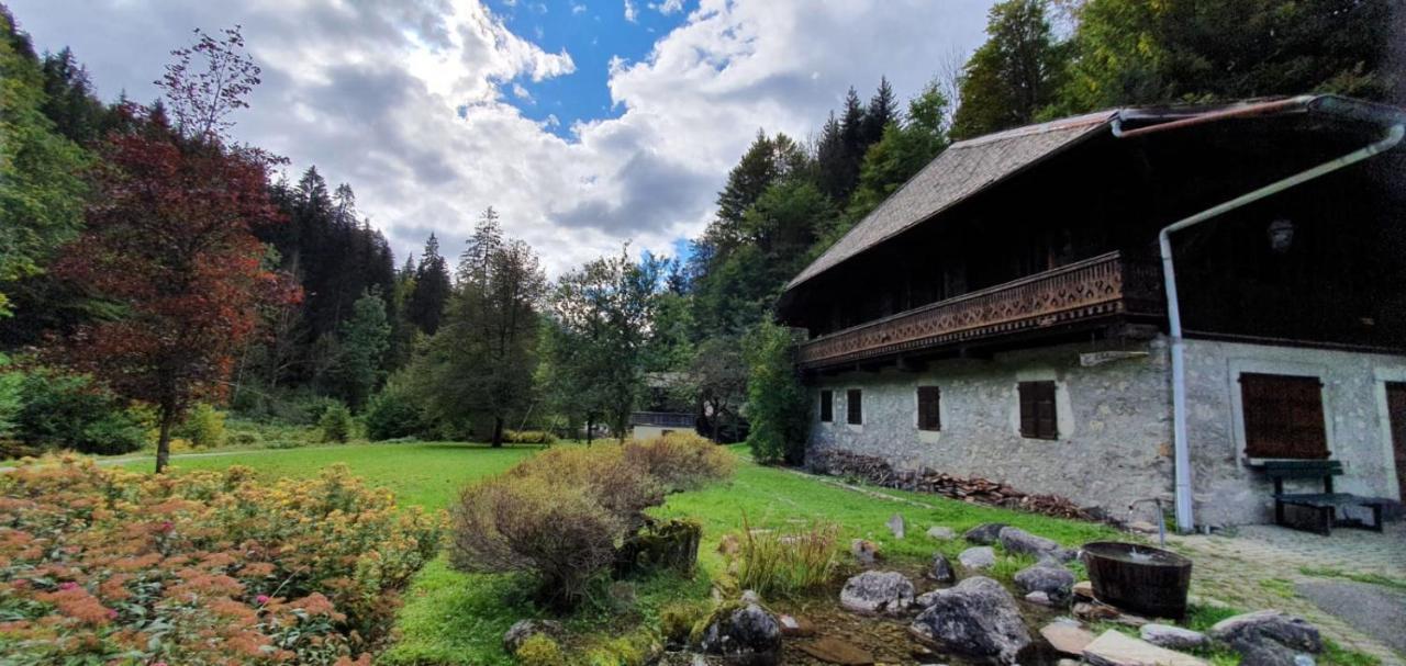 Appartement-3-Chambres-8-Couchages-Wifi-Montriond-Chebourins Εξωτερικό φωτογραφία